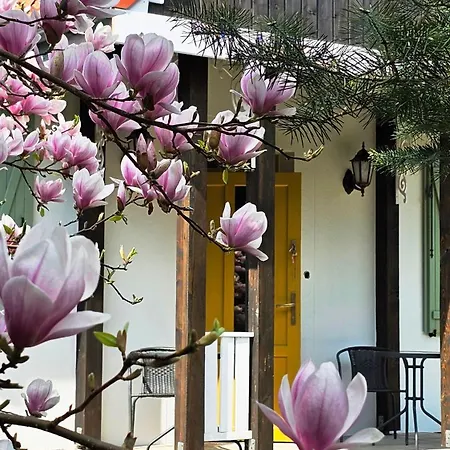 Casa de Férias Forest House With Sauna & Fireplace *