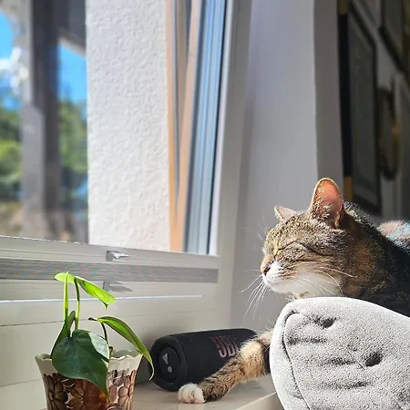 Forest House With Sauna & Fireplace Casa de Férias *