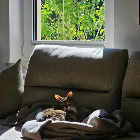 Forest House With Sauna & Fireplace Casa de Férias