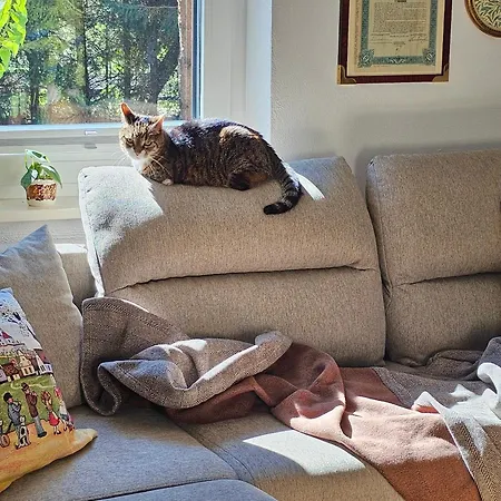 Forest House With Sauna & Fireplace Podwilczyn