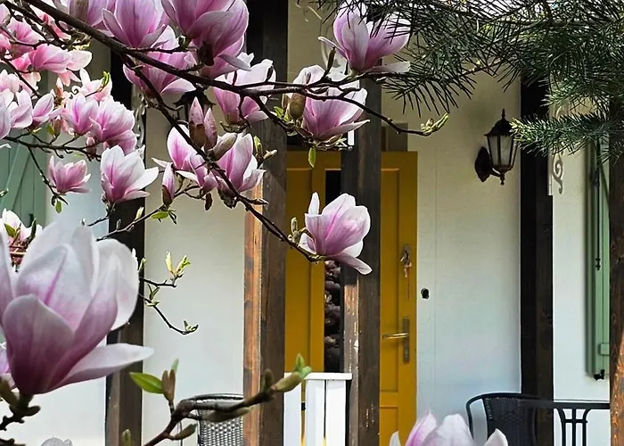 Сasa de vacaciones Forest House With Sauna & Fireplace *