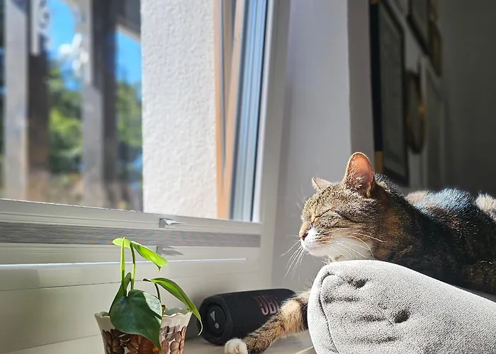 Forest House With Sauna & Fireplace Сasa de vacaciones *