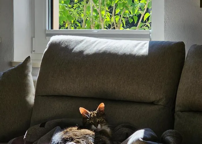 Forest House With Sauna & Fireplace Сasa de vacaciones